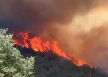 Oggi in Sardegna sono stati segnalati 28 incendi, 4 hanno richiesto l’intervento dei mezzi aerei della flotta regionale e nazionale