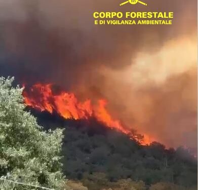Oggi in Sardegna sono stati segnalati 28 incendi, 4 hanno richiesto l’intervento dei mezzi aerei della flotta regionale e nazionale