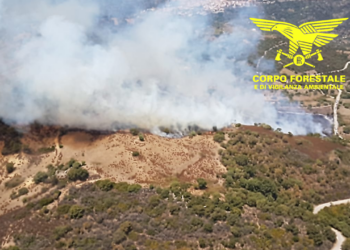 Giornata complicata sul fronte degli incendi, 18 quelli segnalati, 4 hanno richiesto l’intervento dei mezzi aerei della flotta regionale e nazionale