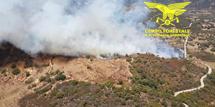 Giornata complicata sul fronte degli incendi, 18 quelli segnalati, 4 hanno richiesto l’intervento dei mezzi aerei della flotta regionale e nazionale