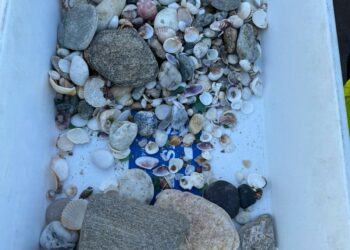 Pietre e conchiglie prelevate dalle spiagge di Budoni, fermate due coppie di turisti