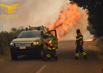 Oggi tre dei sedici incendi sviluppatisi in Sardegna hanno richiesto l’intervento dei mezzi aerei della flotta regionale e della flotta nazionale