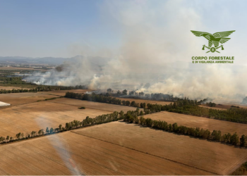 Quattro dei quindici incendi sviluppatisi oggi in Sardegna hanno richiesto l’intervento dei mezzi aerei