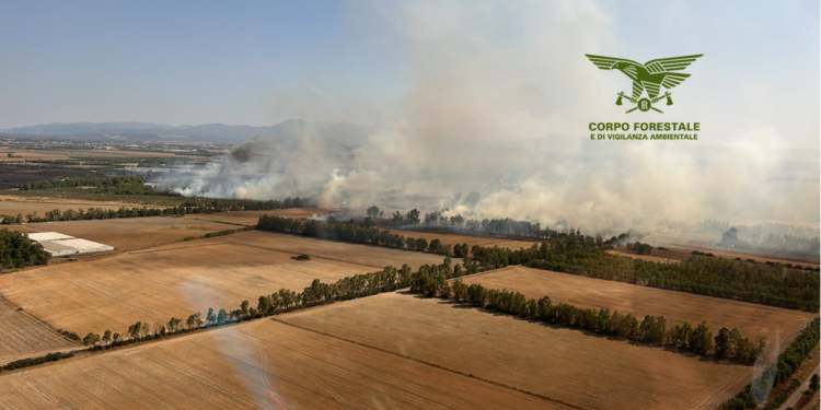 Quattro dei quindici incendi sviluppatisi oggi in Sardegna hanno richiesto l’intervento dei mezzi aerei