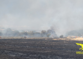 Ancora incendi in Sardegna, ben dieci in 24 ore, due hanno richiesto l’intervento dei mezzi aerei