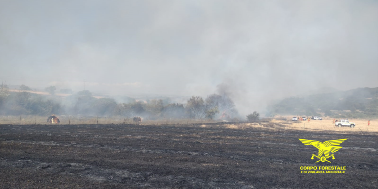 Ancora incendi in Sardegna, ben dieci in 24 ore, due hanno richiesto l’intervento dei mezzi aerei