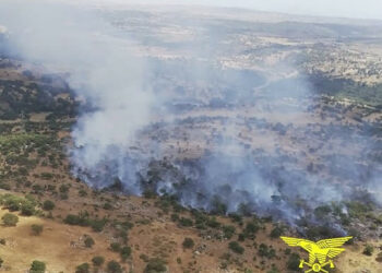 Oggi, sugli 11 incendi sviluppatisi sul territorio regionale, 2 hanno richiesto l’intervento dei mezzi aerei della flotta regionale