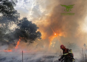 Oggi sono stati segnalati 15 incendi sul territorio regionale, 5 dei quali hanno richiesto l’intervento dei mezzi aerei della flotta regionale e nazionale