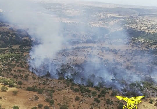 Oggi, sugli 11 incendi sviluppatisi sul territorio regionale, 2 hanno richiesto l’intervento dei mezzi aerei della flotta regionale