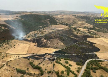 Solo uno dei quindici incendi sviluppatisi oggi in Sardegna, ha richiesto l’intervento dei mezzi aerei della flotta regionale