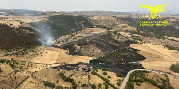Solo uno dei quindici incendi sviluppatisi oggi in Sardegna, ha richiesto l’intervento dei mezzi aerei della flotta regionale