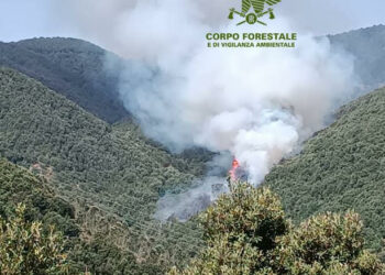 Oggi sono stati segnalati 16 incendi nel territorio regionale, 7 hanno richiesto l’intervento dei mezzi aerei