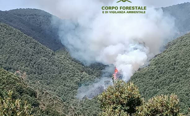 Oggi sono stati segnalati 16 incendi nel territorio regionale, 7 hanno richiesto l’intervento dei mezzi aerei