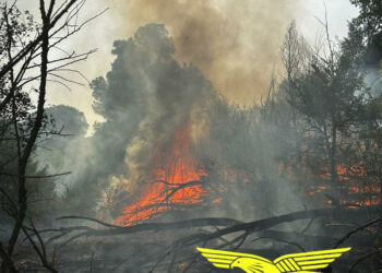 Ben sette dei venti incendi sviluppatisi ieri in Sardegna hanno richiesto l’intervento dei mezzi aerei