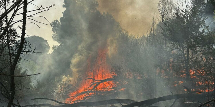 Ben sette dei venti incendi sviluppatisi ieri in Sardegna hanno richiesto l’intervento dei mezzi aerei