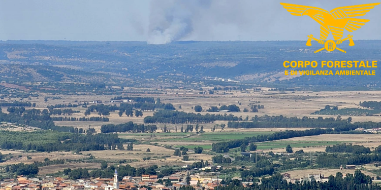 Tre dei diciannove incendi sviluppatisi oggi in Sardegna hanno richiesto l’intervento dei mezzi aerei