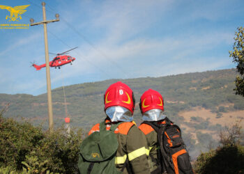 Giovedì 4 luglio, 3 dei 17 incendi sviluppatisi sul territorio regionale, hanno richiesto l’intervento dei mezzi aerei della flotta regionale