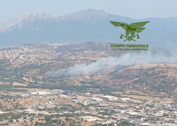 Oggi due dei nove incendi sviluppatisi in Sardegna, hanno richiesto l’intervento dei mezzi aerei della flotta regionale
