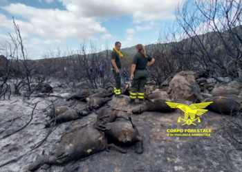 Un’altra giornata complicata, in Sardegna, per lo spegnimento degli incendi