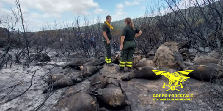 Un’altra giornata complicata, in Sardegna, per lo spegnimento degli incendi