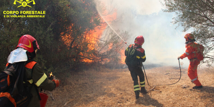 Tre dei diciannove incendi sviluppatisi oggi sul territorio regionale, hanno richiesto l’intervento dei mezzi aerei della flotta regionale