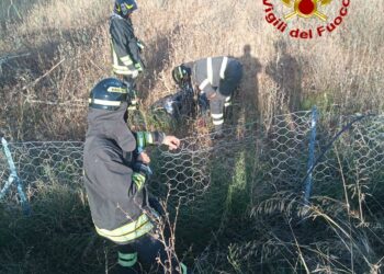 Siniscola: incidente stradale sulla statale 125, grave un motociclista