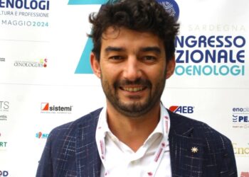 L’ascesa dei vini sardi: qualità, innovazione e riconoscimenti internazionali