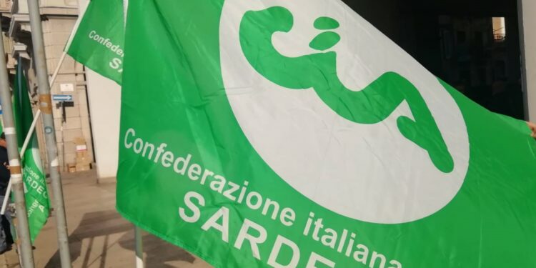 Blue tongue, Cia Sardegna: «Agire subito per bloccare la diffusione del virus. La Regione stanzi le risorse per risarcire gli allevatori danneggiati»