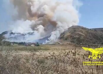 Ancora incendi in Sardegna, i più gravi a Siligo, Codrongianos e Siliqua