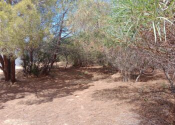 Arzachena: gli interventi della Compagnia barracellare nel mese di agosto