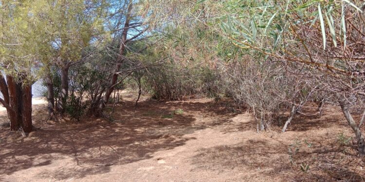 Arzachena: gli interventi della Compagnia barracellare nel mese di agosto