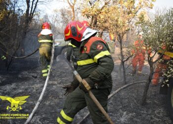 Giornata tranquilla sul fronte degli incendi, 5 quelli segnalati in Sardegna, 1 a Orune ha richiesto l’intervento dei mezzi aerei
