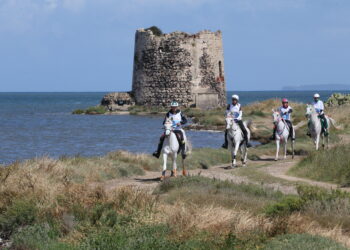 Dal 26 al 29 settembre all’Horse Country Resort di Arborea, si terrà il Sardegna Endurance Festival 2024