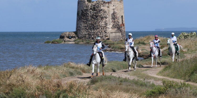 Dal 26 al 29 settembre all’Horse Country Resort di Arborea, si terrà il Sardegna Endurance Festival 2024