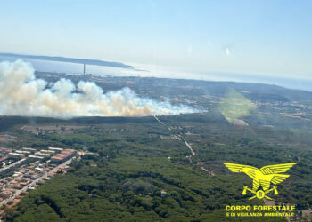 20 gli incendi segnalati oggi in Sardegna, 3 hanno richiesto l’intervento dei mezzi aerei, il più vasto a Cortoghiana