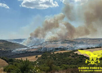 Sono 18 gli incendi segnalati oggi in Sardegna, 3 hanno richiesto l’intervento dei mezzi aerei