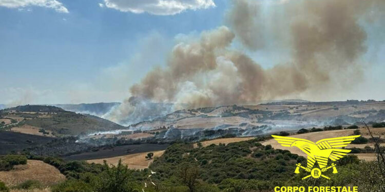 Sono 18 gli incendi segnalati oggi in Sardegna, 3 hanno richiesto l’intervento dei mezzi aerei