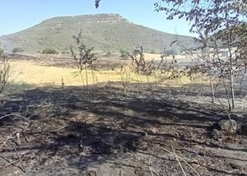 Incendio nelle campagne di Siligo, lo sfogo del sindaco Giovanni Porcheddu