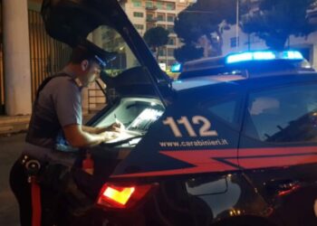 I carabinieri di Quartu Sant’Elena e Cagliari hanno sanzionato il gestore di un chiosco per difformità igienico-sanitarie legate alla gestione degli alimenti