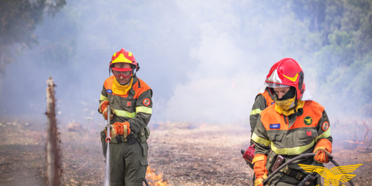 Giornata tranquilla sul fronte degli incendi, sui 12 sviluppatisi sul territorio regionale, solo 3  hanno richiesto l’intervento dei mezzi aerei