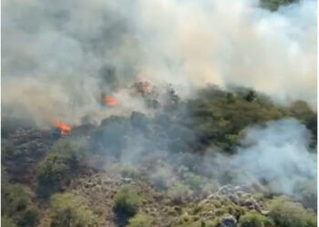 Incendio boschivo in agro del comune di Benetutti, in località Sa funtana ‘e botte, le operazioni di spegnimento sono ancora in corso