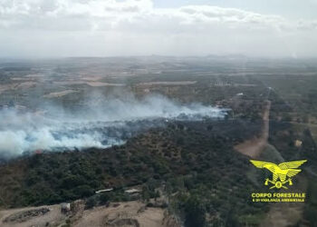 Incendio boschivo, ieri 19 agosto, in agro di Serdiana, in località Seddas de Flumini