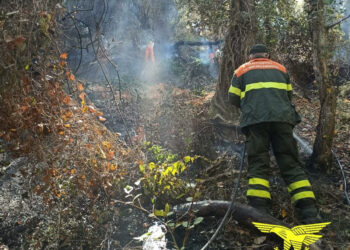 Sono stati 15 gli incendi segnalati oggi sul territorio regionale, 4 dei quali hanno richiesto l’intervento dei mezzi aerei