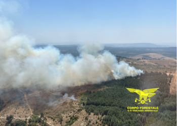 Sono 12 gli incendi segnalati oggi in Sardegna, 3 dei quali hanno richiesto l’intervento dei mezzi aerei