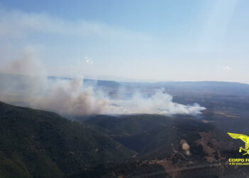 Sono 10 gli incendi segnalati sul territorio regionale, 4 dei quali hanno richiesto l’intervento dei mezzi aerei della flotta regionale e nazionale