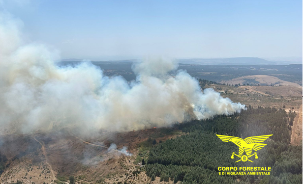 Sono 12 gli incendi segnalati oggi in Sardegna, 3 dei quali hanno richiesto l’intervento dei mezzi aerei