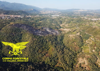 Giornata relativamente tranquilla suo fronte degli incendi, 7 quelli segnalati, solo 1 ha richiesto l’intervento dei mezzi aerei
