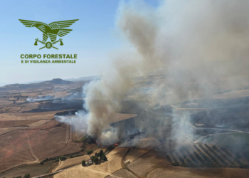 Sono 17 gli incendi sviluppatisi sul territorio regionale, 4 dei quali hanno richiesto l’intervento dei mezzi aerei