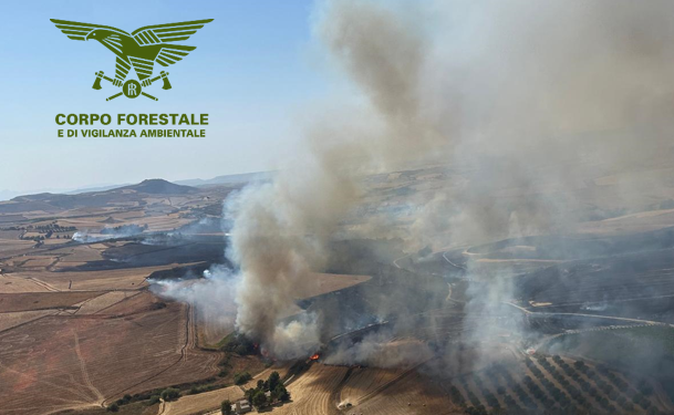 Sono 17 gli incendi sviluppatisi sul territorio regionale, 4 dei quali hanno richiesto l’intervento dei mezzi aerei