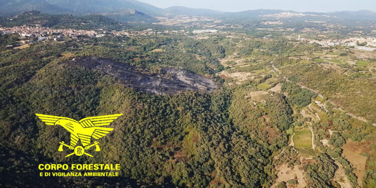 Giornata relativamente tranquilla suo fronte degli incendi, 7 quelli segnalati, solo 1 ha richiesto l’intervento dei mezzi aerei